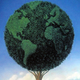 Illustration for article titled What Utopian Scenario Will Totally Come True Soon?